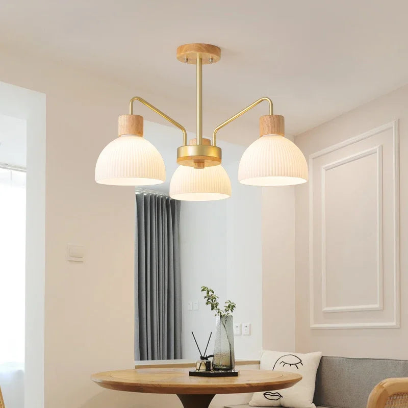 Nordic Living Room LED Ceiling Chandelier