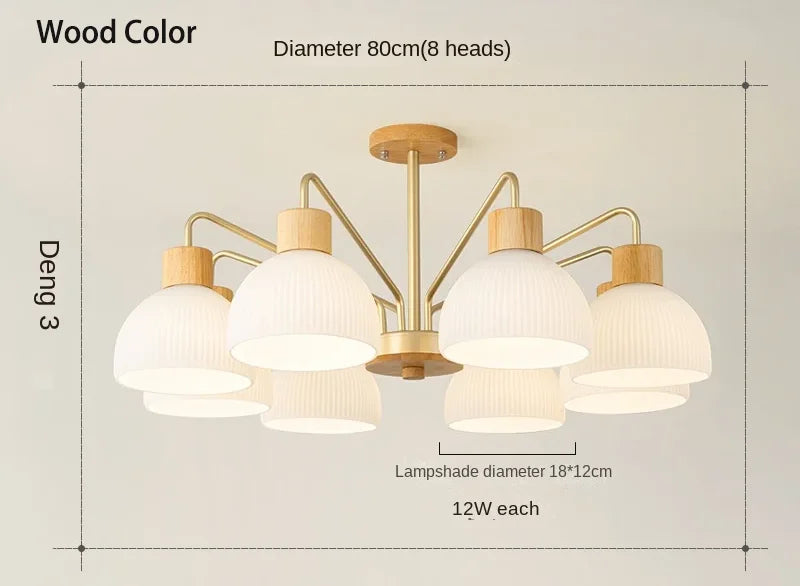Nordic Living Room LED Ceiling Chandelier