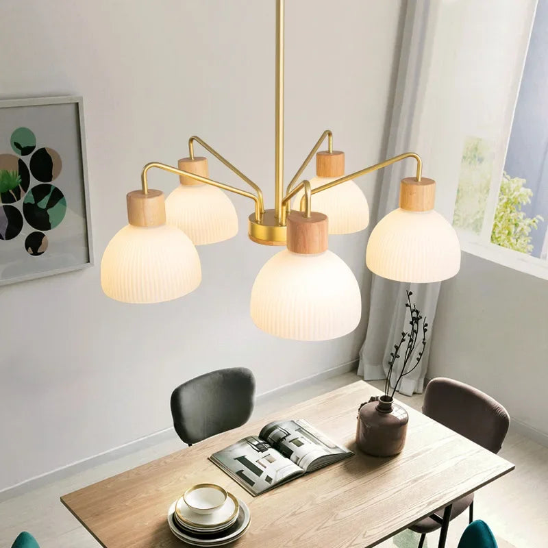 Nordic Living Room LED Ceiling Chandelier