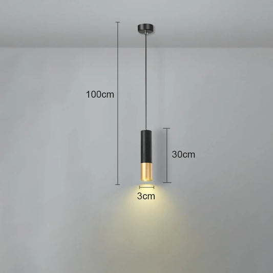 Modern LED Pendant Hanging Light