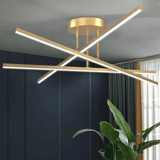 Modern LED Ceiling Light