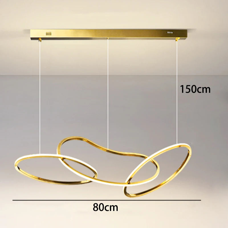 Modern LED Pendant Ceiling Light