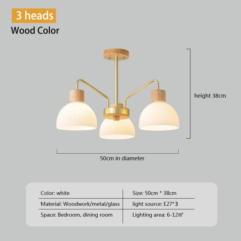 Nordic Living Room LED Ceiling Chandelier