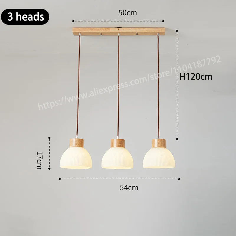 Nordic Living Room LED Ceiling Chandelier
